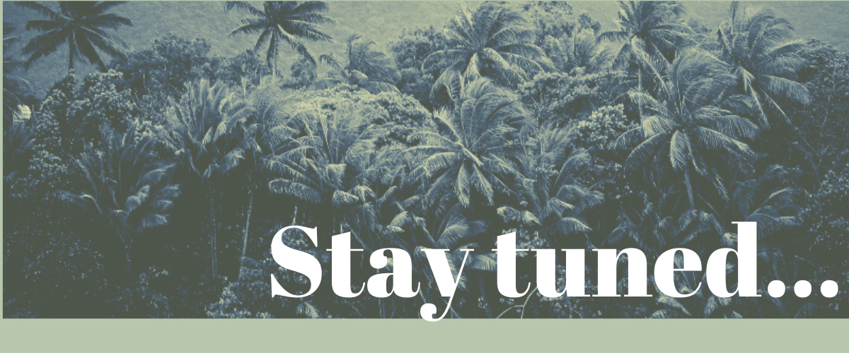 Roxybd.com promo